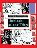 Little Looks At Lots of Things