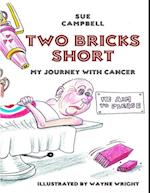 Two Bricks Short: My Journey With Cancer