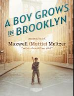 Boy Grows In Brooklyn