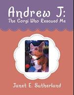 Andrew J: The Corgi Who Rescued Me