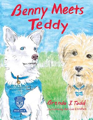 Benny Meets Teddy: BenTed Rescue Adventure Series Book II