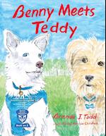 Benny Meets Teddy: BenTed Rescue Adventure Series Book II 