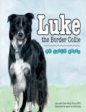Luke the Border Collie: My Early Years