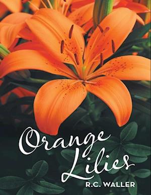 Orange Lilies