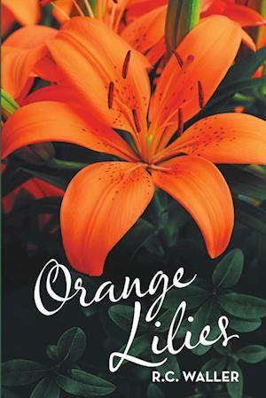 Orange Lilies