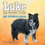 Luke the Border Collie