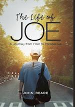 The Life of Joe