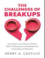 Challenges of Breakups: Seven Real-Life Stories of People Who've Struggled and Surpassed the Challenges of Breakups