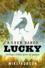 Crow Named Lucky