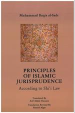 Principles of Islamic Jurisprudence [translated]