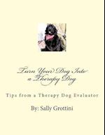 Turn Your Dog Into a Therapy Dog