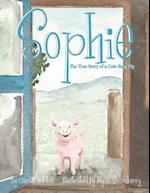 Sophie the True Story of a Cute Baby Pig