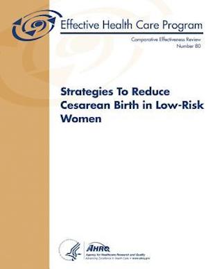 Strategies to Reduce Cesarean Birth in Low-Risk Women