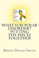 What Is Bi Polar Disorder? Putting the Pieces Together