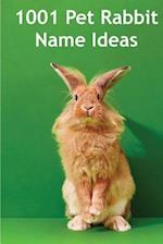 1001 Pet Rabbit Name Ideas