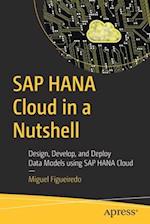 SAP HANA Cloud in a Nutshell
