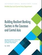 Building Resilient Banking Sectors in the Caucasus and Central Asia