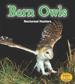 Barn Owls