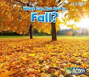 What Can You See in Fall?