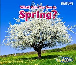 What Can You See in Spring?