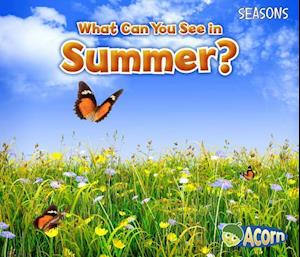 What Can You See in Summer?