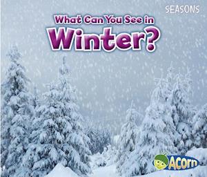 What Can You See in Winter?