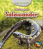 Life Story of a Salamander