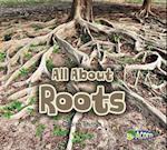 All about Roots