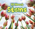 All about Stems