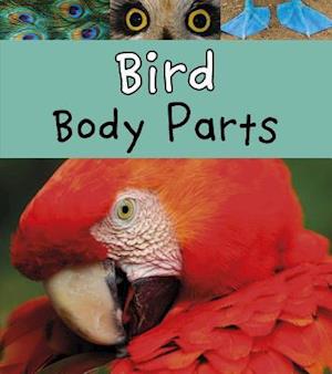 Bird Body Parts