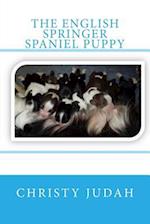 The English Springer Spaniel Puppy