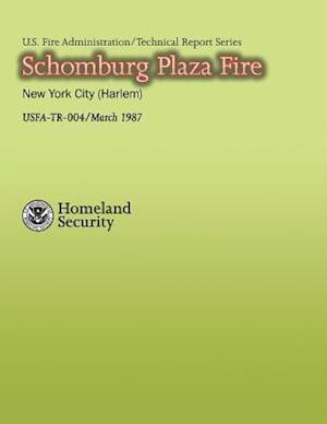 Schomburg Plaza Fire