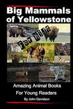 Big Mammals of Yellowstone for Kids