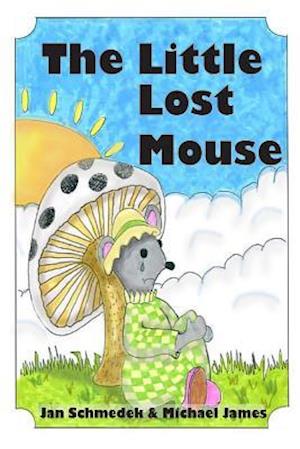 The Little Lost Mouse