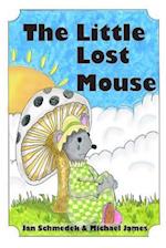 The Little Lost Mouse