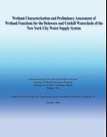 Wetland Characterization and Preliminary Assessment of Wetland Functions for the Delaware and Catskill Watersheds of the New York City Water Supply Sy