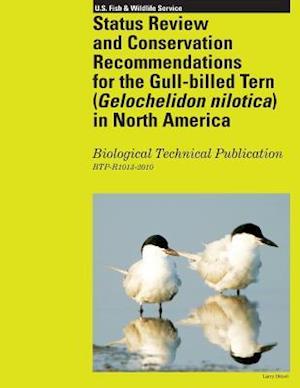 Status Review and Conservation Recommendations for the Gull-Billed Tern (Gelochelidon Nilotica) in North America