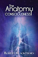 The Anatomy of Consciousness