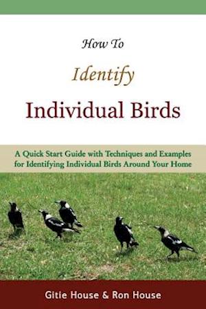 How to Identify Individual Birds