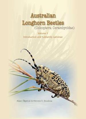 Australian Longhorn Beetles