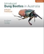 Introduced Dung Beetles in Australia