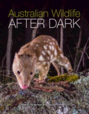 Australian Wildlife After Dark