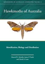 Hawkmoths of Australia