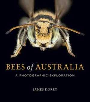 Bees of Australia