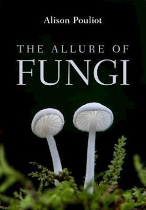 The Allure of Fungi