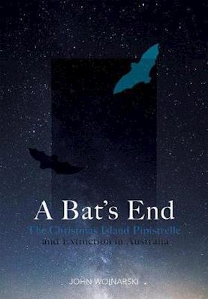 A Bat''s End