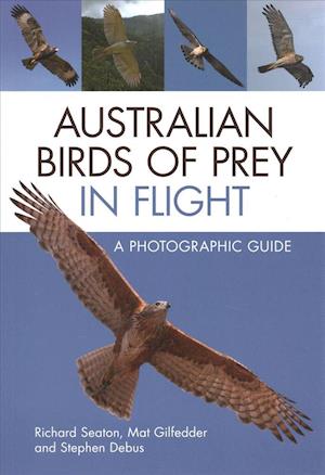 Australian Birds of Prey in Flight