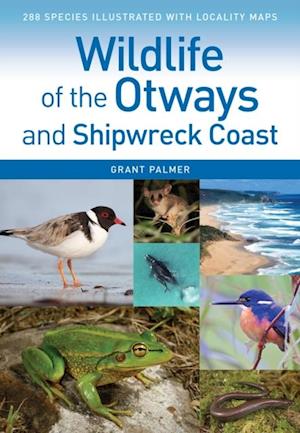 Wildlife of the Otways and Shipwreck Coast