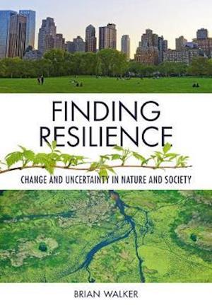 Finding Resilience