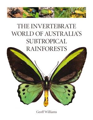 The Invertebrate World of Australia''s Subtropical Rainforests